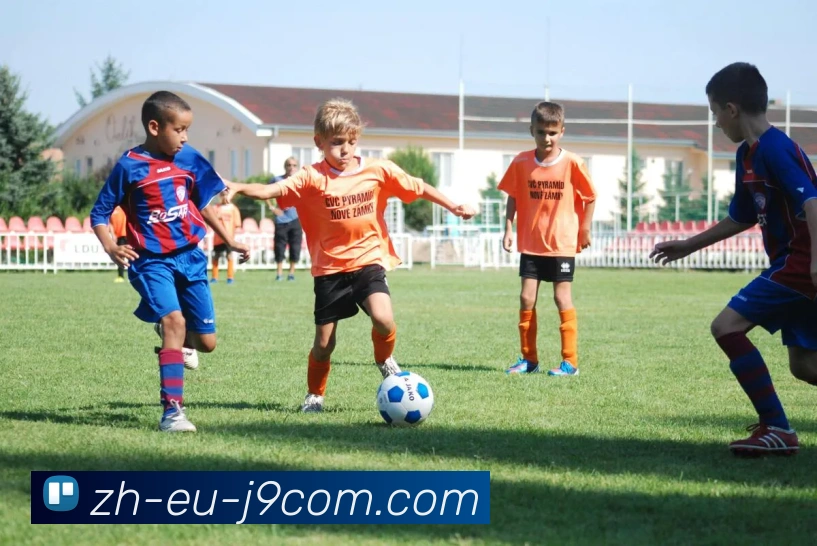 数据防护可视化