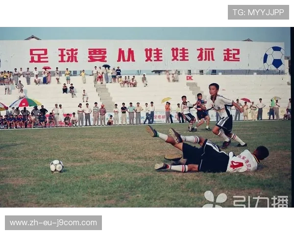 深入解析凤凰足球球队核心球星身份与背后故事更多看点揭秘全貌呈